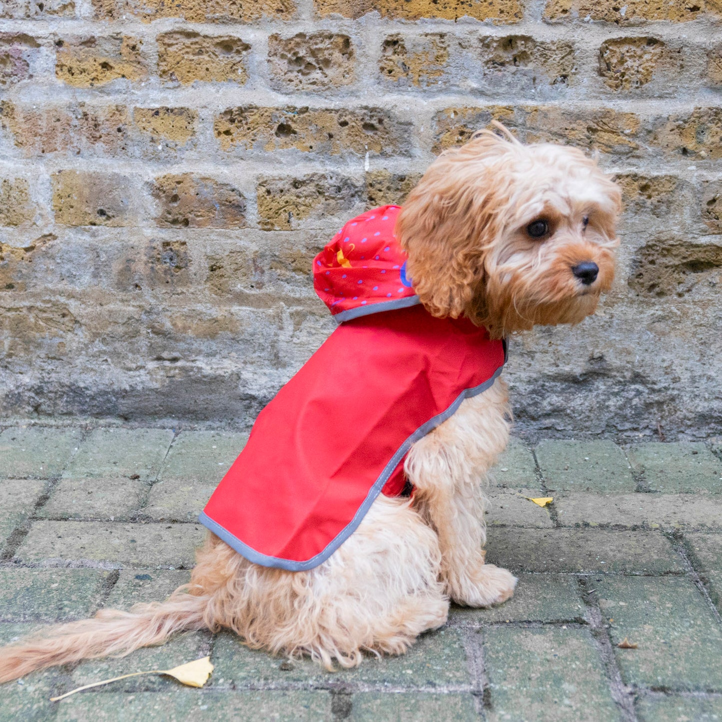Cape Raincoat