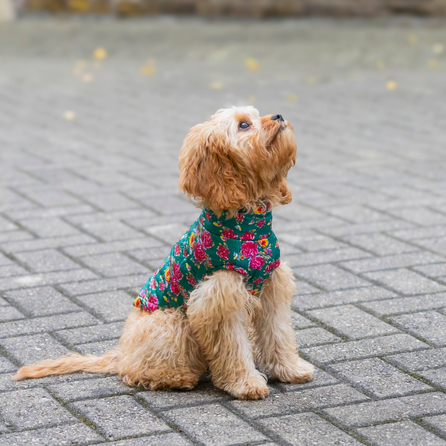 Flower Power Padded Jacket