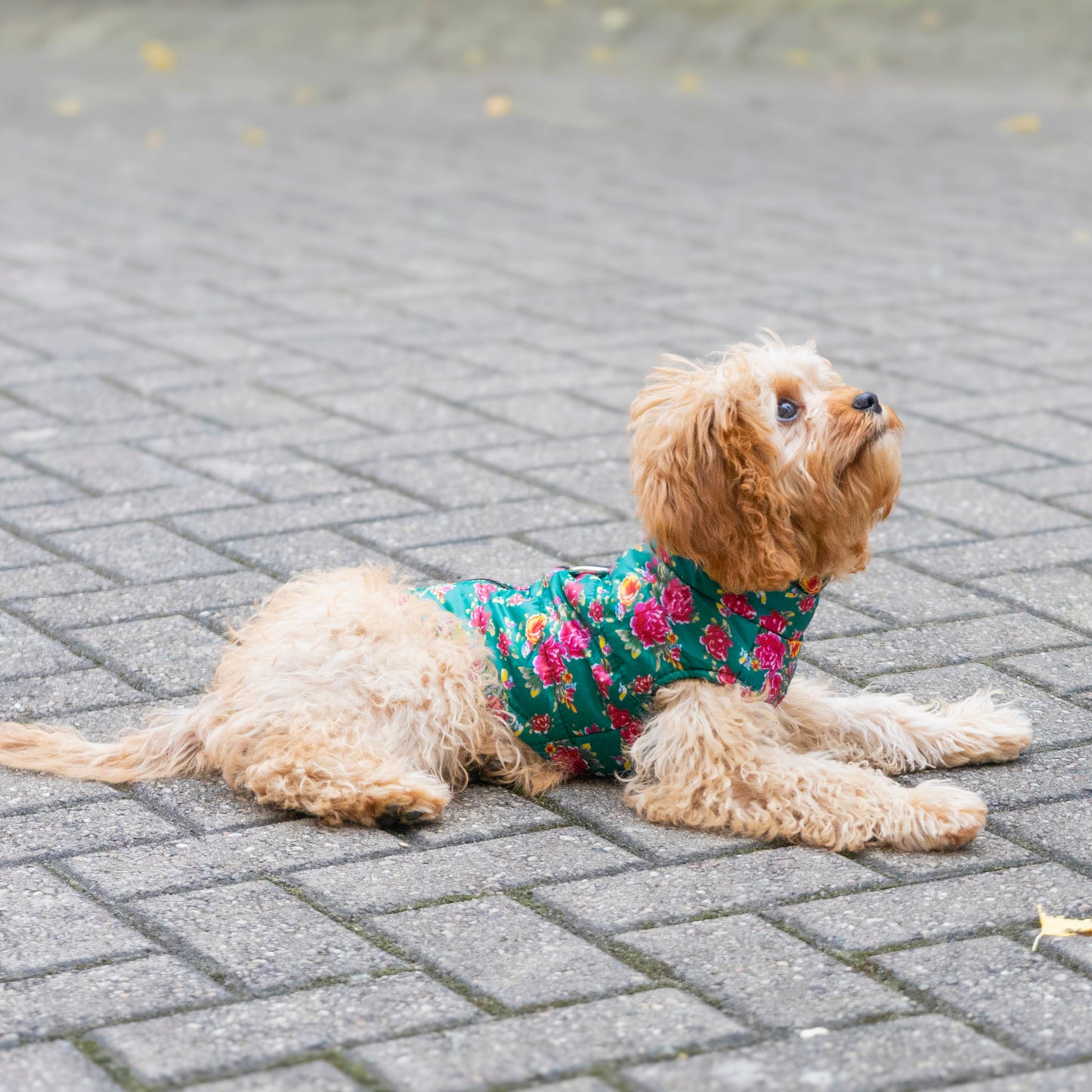 Flower Power Padded Jacket