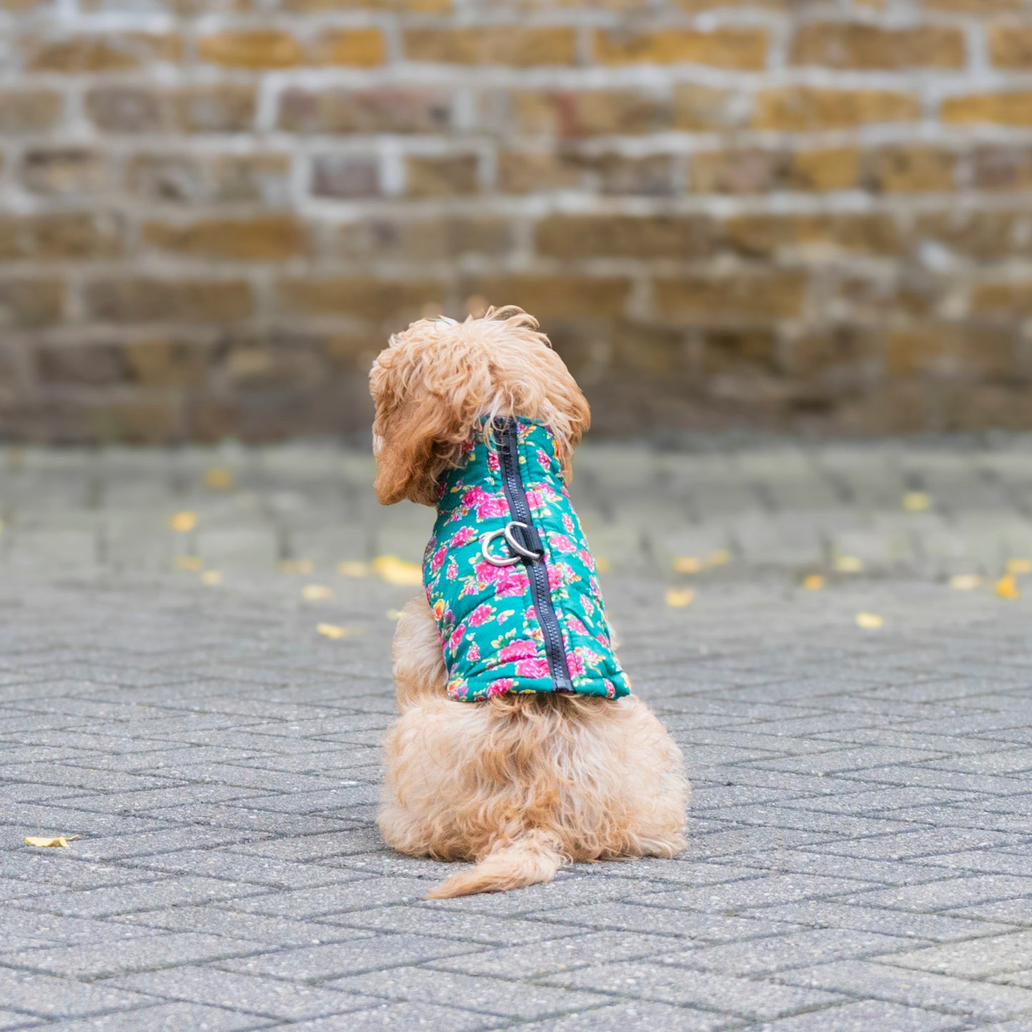 Flower Power Padded Jacket