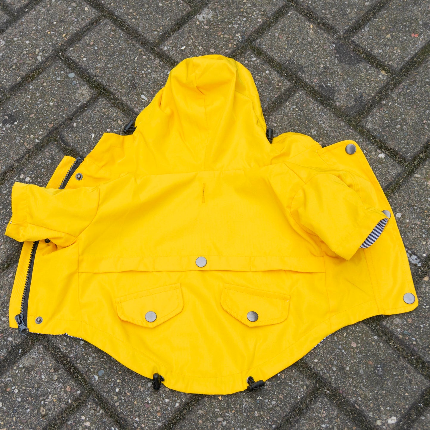 Delux Raincoat