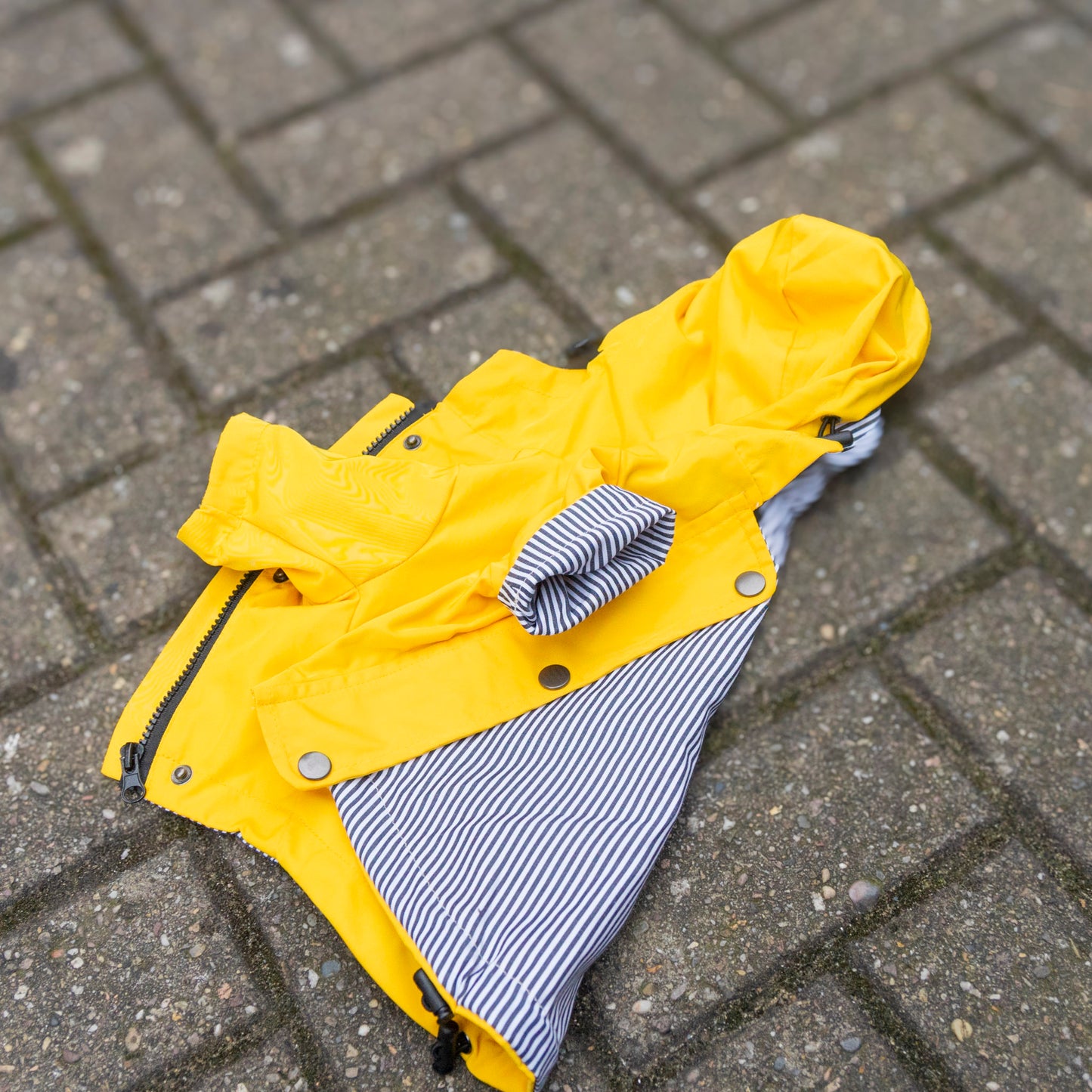 Delux Raincoat