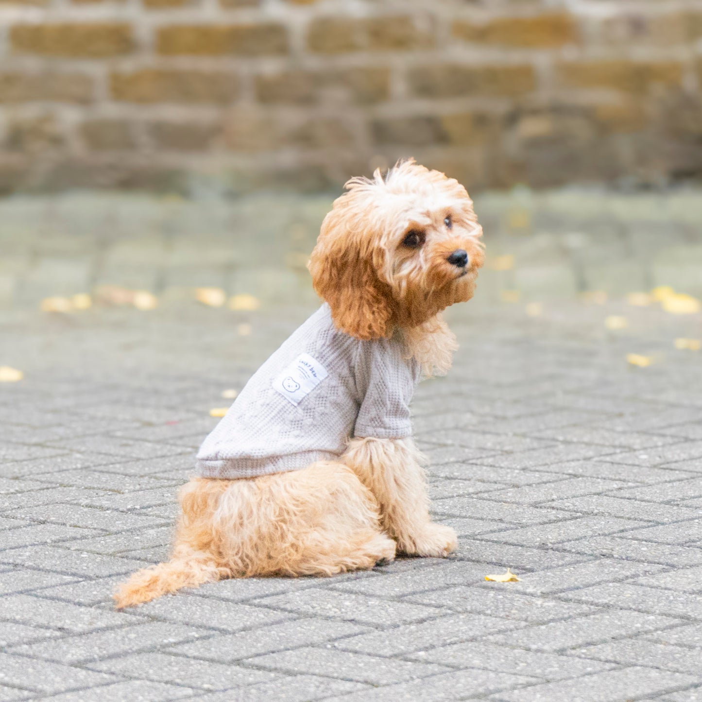 Cosy Knitted Jumper