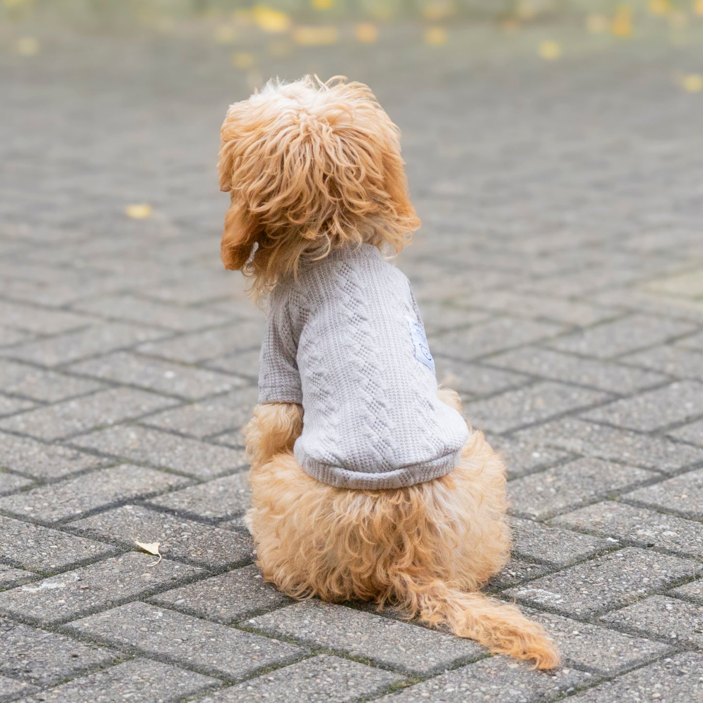 Cosy Knitted Jumper