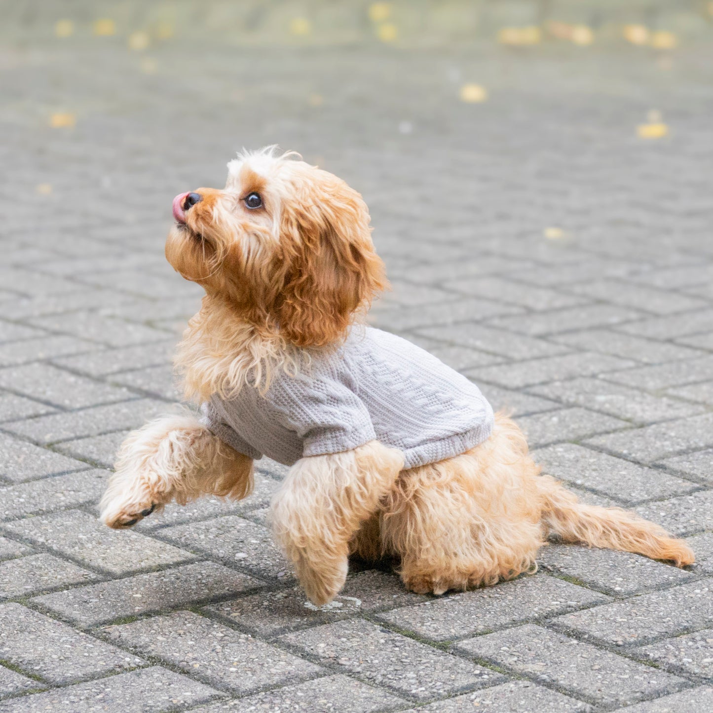 Cosy Knitted Jumper