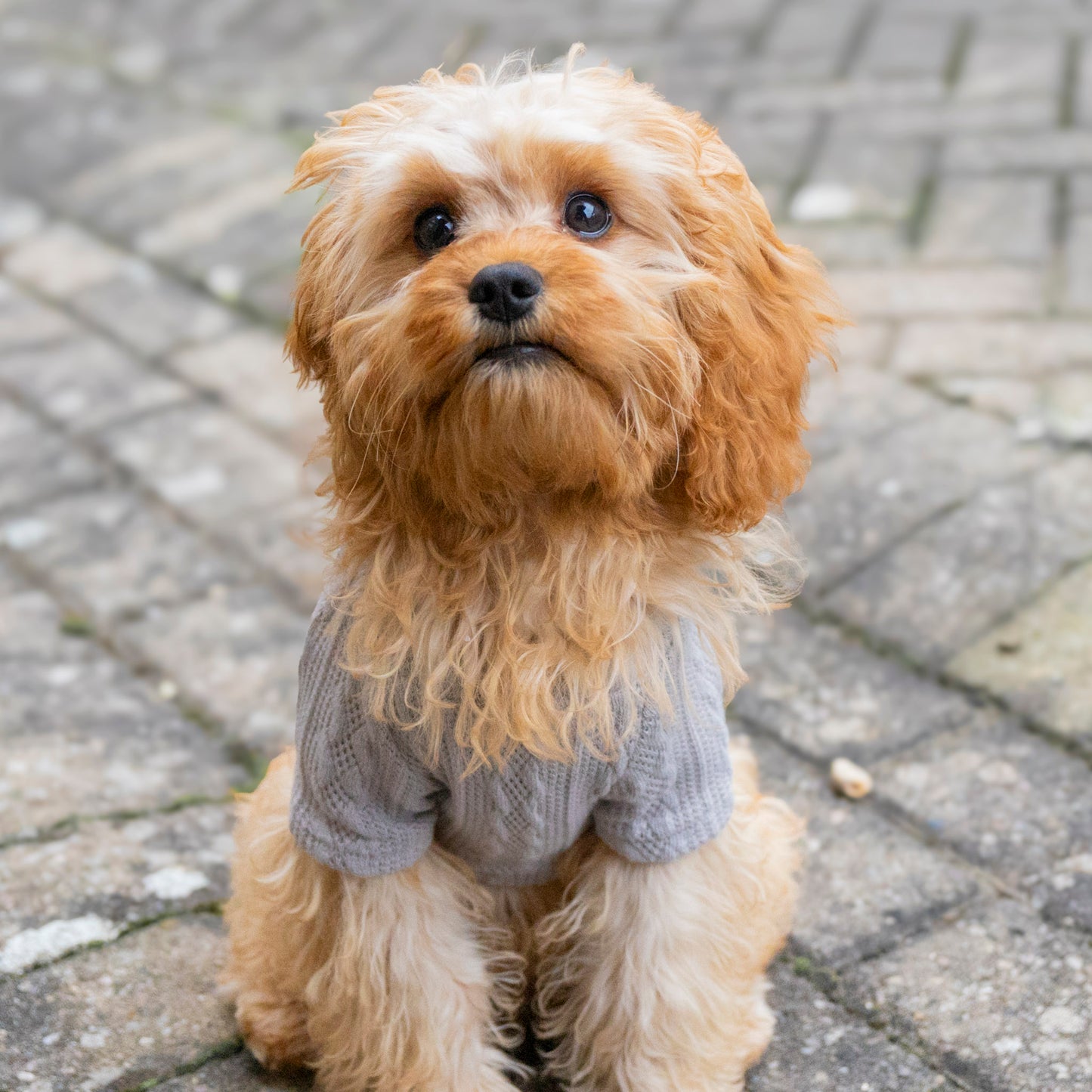 Cosy Knitted Jumper