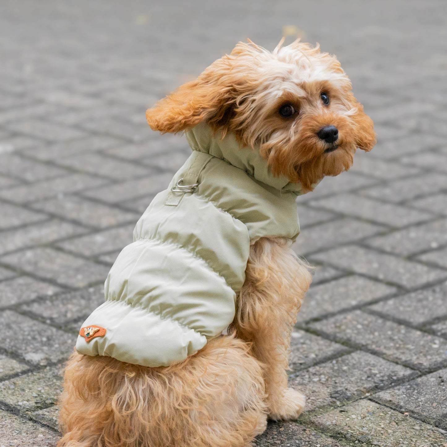 Toasty Puffer Jacket