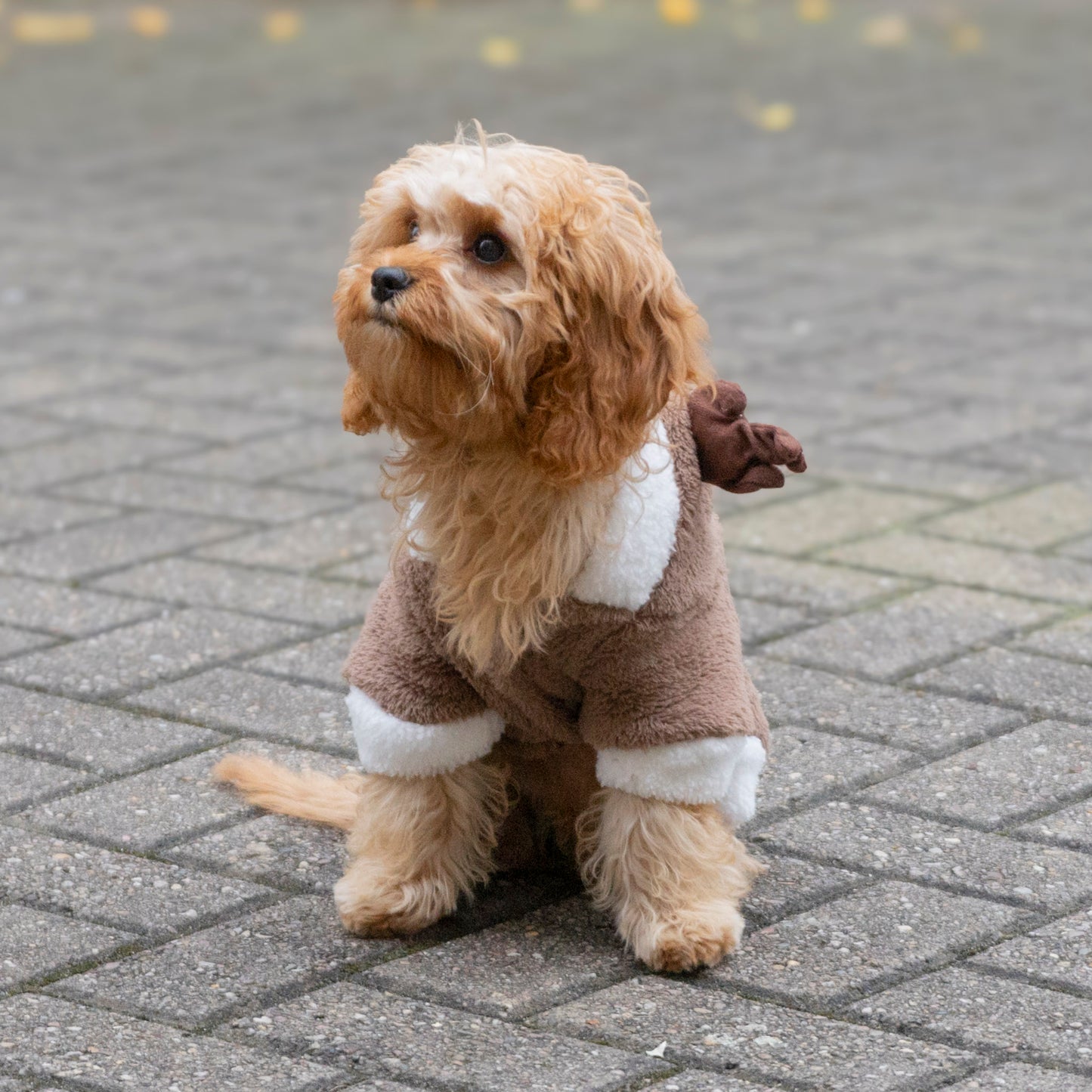 Reindeer Fleece with Antlers