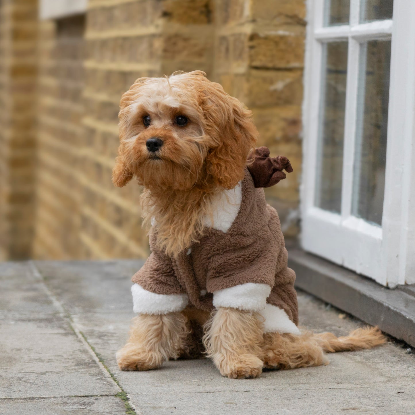 Reindeer Fleece with Antlers