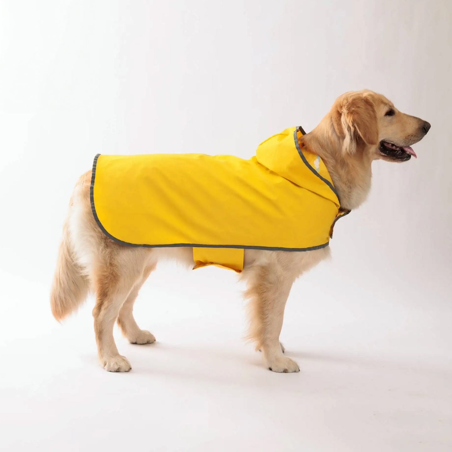 Cape Raincoat