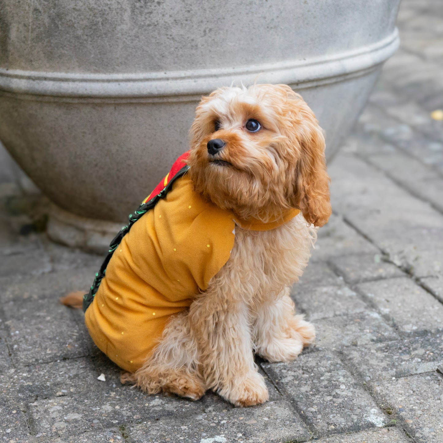 Hot Dawg - Hot Dog Costume