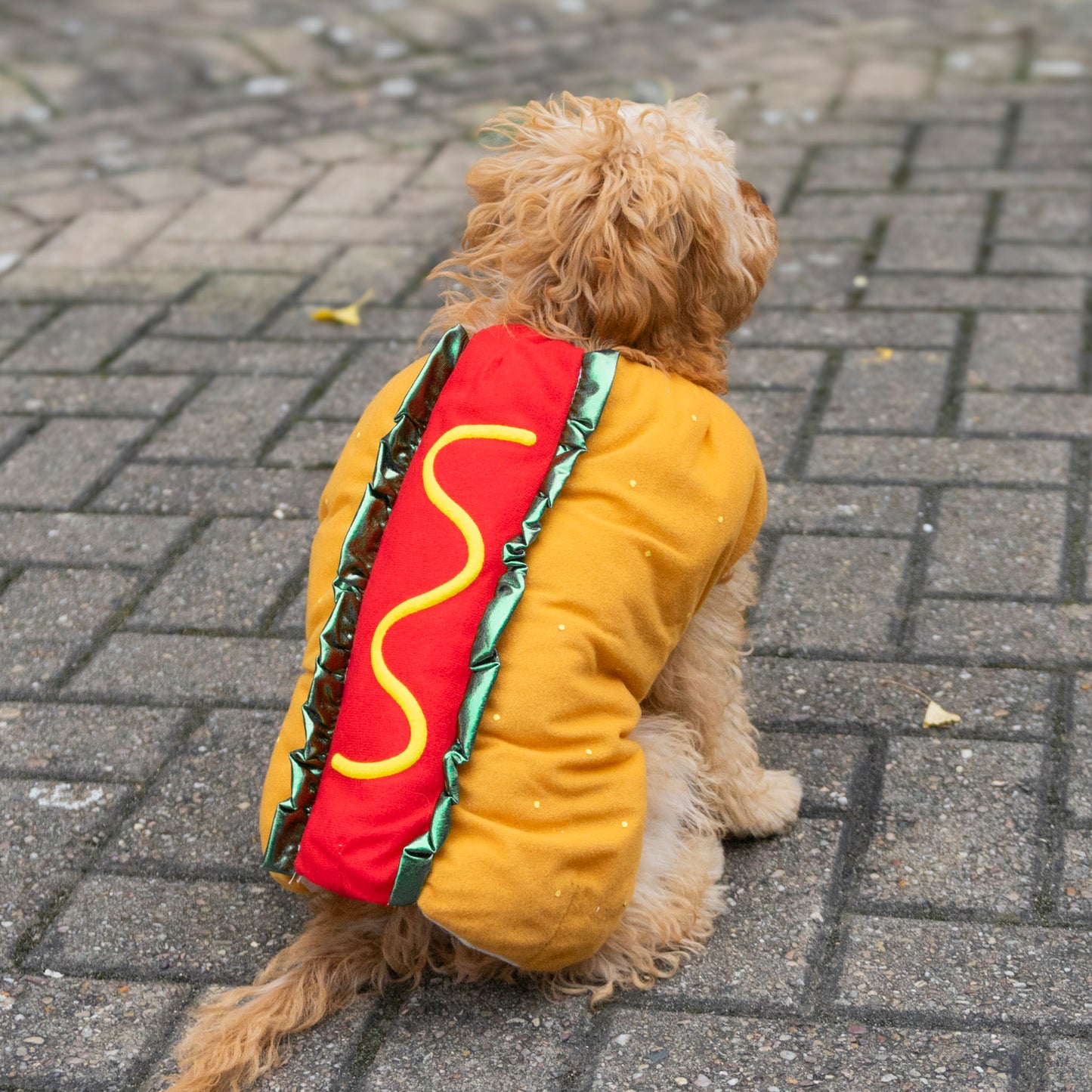 Hot Dawg - Hot Dog Costume