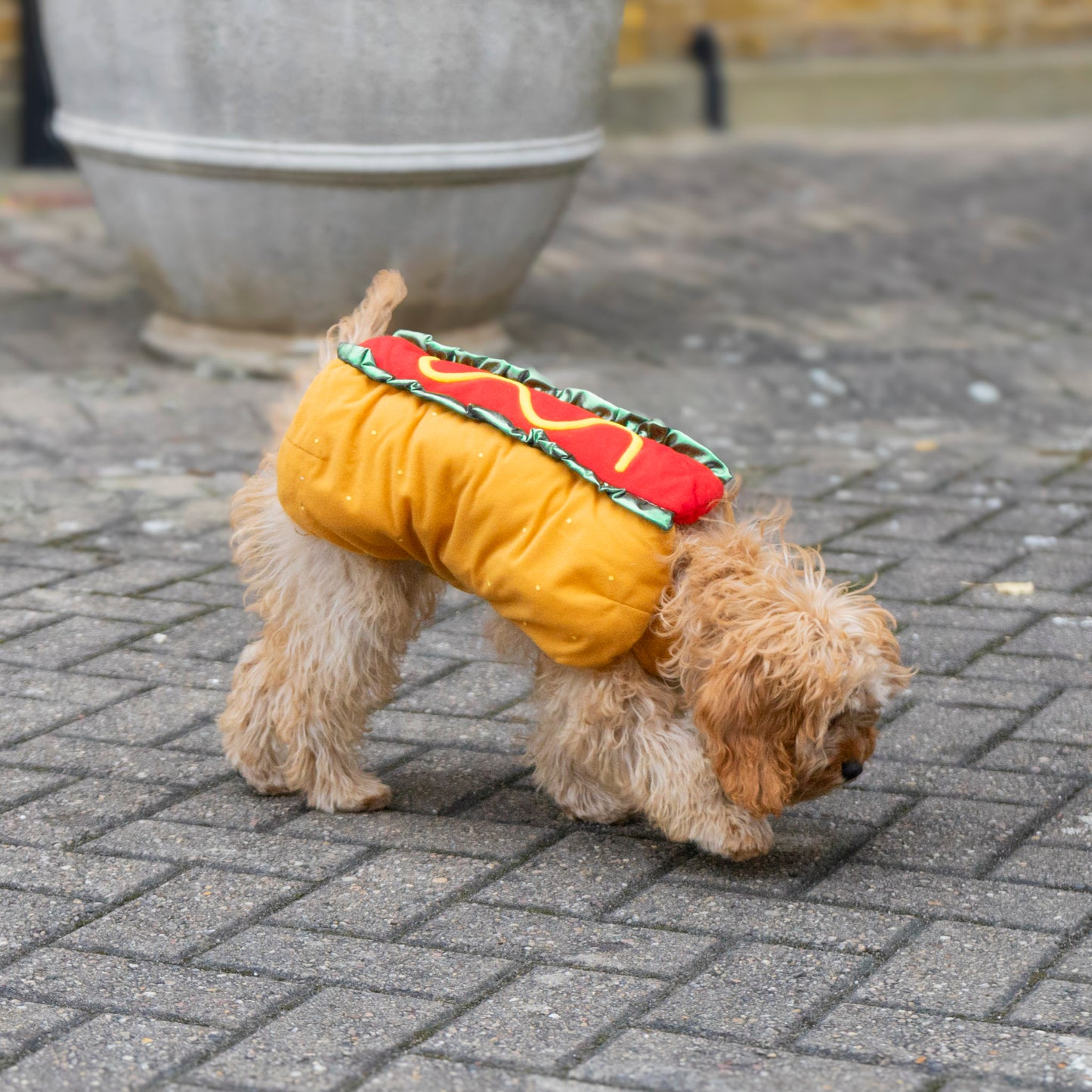 Hot Dawg - Hot Dog Costume